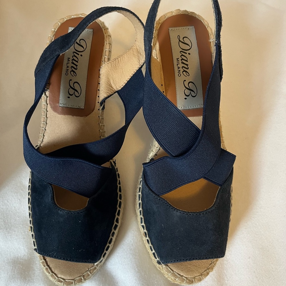 Diana B. Milano Blue Espadrille Sandals